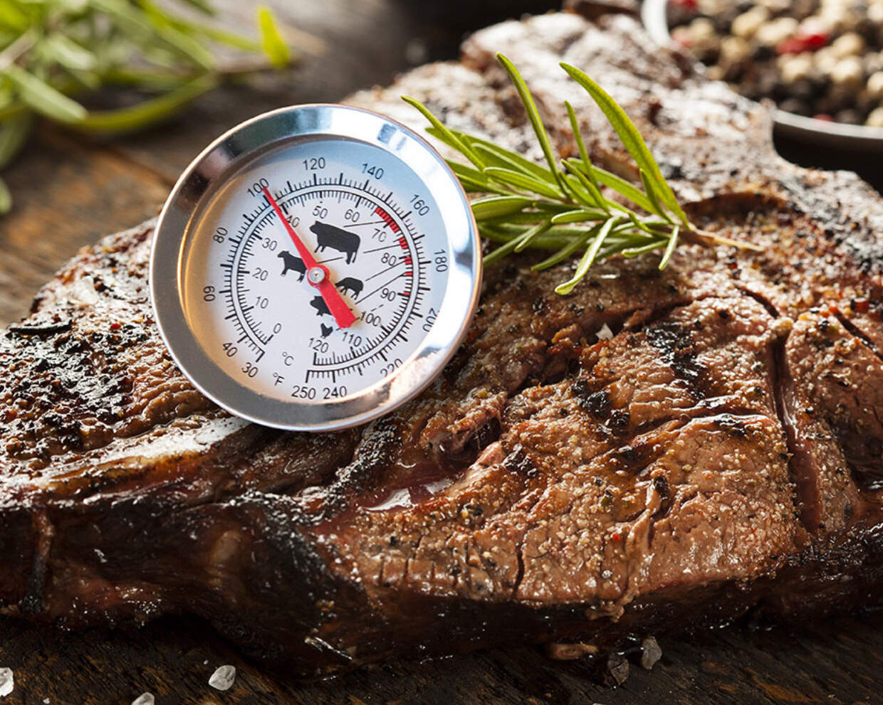 esschert Vlees thermometer