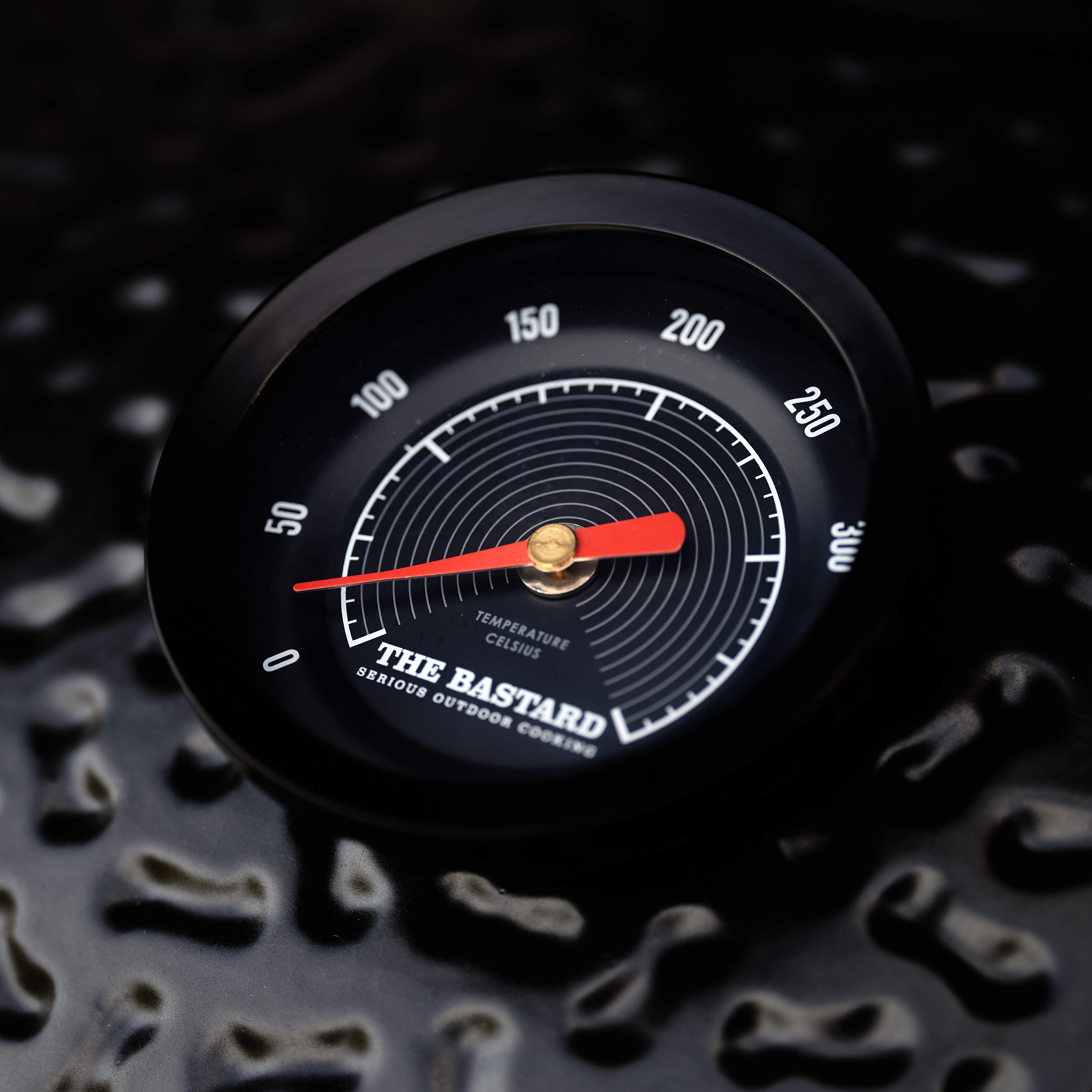 The Bastard Anniversary Edition Large Complete